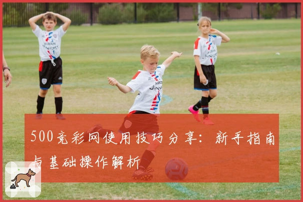 500竞彩网使用技巧分享：新手指南与基础操作解析