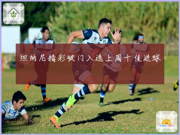 坦纳尼精彩破门入选上周十佳进球